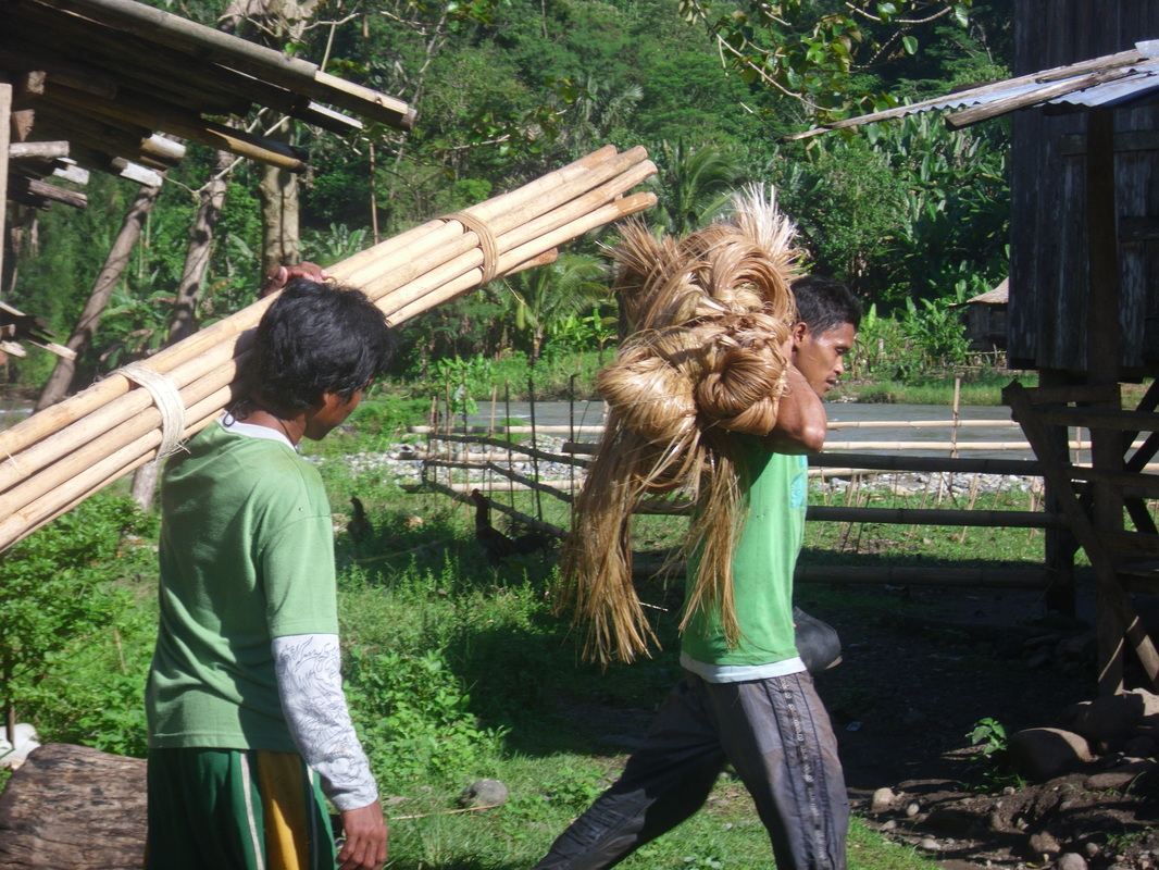 Rehabilitation project