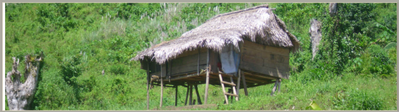 Indigenous community rebuilding after typhoon